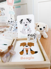 Load image into Gallery viewer, Vet Clinic Dramatic Play