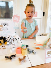 Load image into Gallery viewer, Vet Clinic Dramatic Play