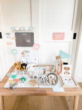 Load image into Gallery viewer, Vet Clinic Dramatic Play