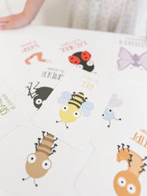 Load image into Gallery viewer, Bugs Flashcards
