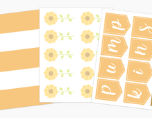 Load image into Gallery viewer, Pumpkin Patch Printable Dramatic Play