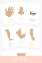 Load image into Gallery viewer, Human Body Anatomy Bundle