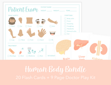 Load image into Gallery viewer, Human Body Anatomy Bundle