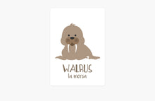 Load image into Gallery viewer, Arctic Animals Flashcards