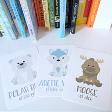 Load image into Gallery viewer, Arctic Animals Flashcards