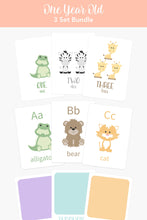 Load image into Gallery viewer, One Year Old Flash Card Bundle