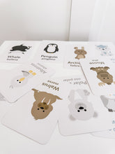 Load image into Gallery viewer, Arctic Animals Flashcards