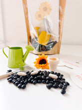Load image into Gallery viewer, Garden Sensory Kit