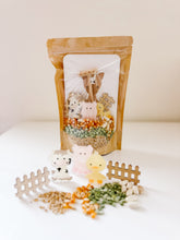 Load image into Gallery viewer, Farm Sensory Kit