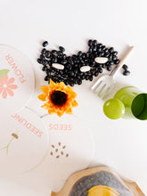 Load image into Gallery viewer, Garden Sensory Kit