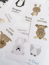 Load image into Gallery viewer, Arctic Animals Flashcards