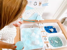 Load image into Gallery viewer, Arctic Polar Animals Printable Dramatic Play