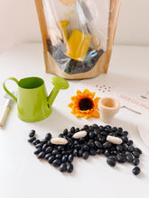 Load image into Gallery viewer, Garden Sensory Kit