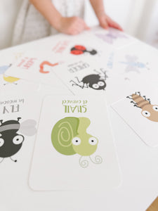 Bugs Flashcards