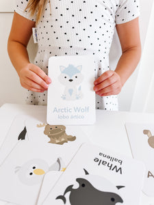 Arctic Animals Flashcards