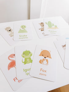 Desert Animal Flashcards