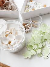 Load image into Gallery viewer, Turtle Sensory Kits