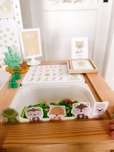 Desert Animals Printable Dramatic Play Kit