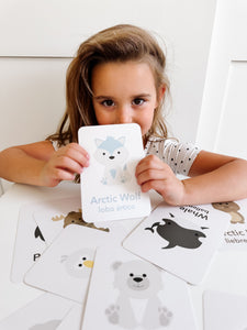 Arctic Animals Flashcards