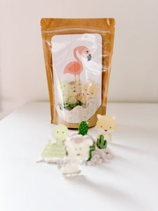 Desert Sensory Kit