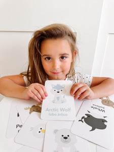 Arctic Animals Flashcards