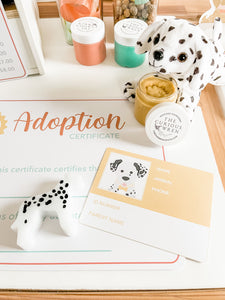 Pet Adoption Clinic Dramatic Play