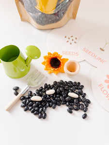 Garden Sensory Kit