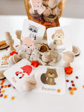 Load image into Gallery viewer, Woodland Sensory Kit