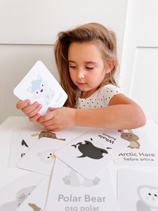 Arctic Animals Flashcards