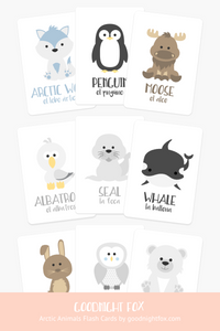 Animal 2 Flashcards Bundle