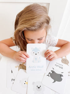 Arctic Animals Flashcards