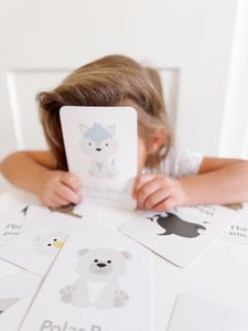 Arctic Animals Flashcards