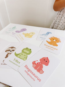 Dinosaur Flashcards