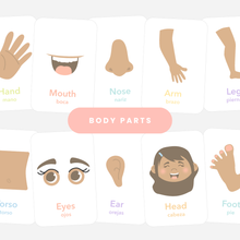 Load image into Gallery viewer, Body Parts Flashcards