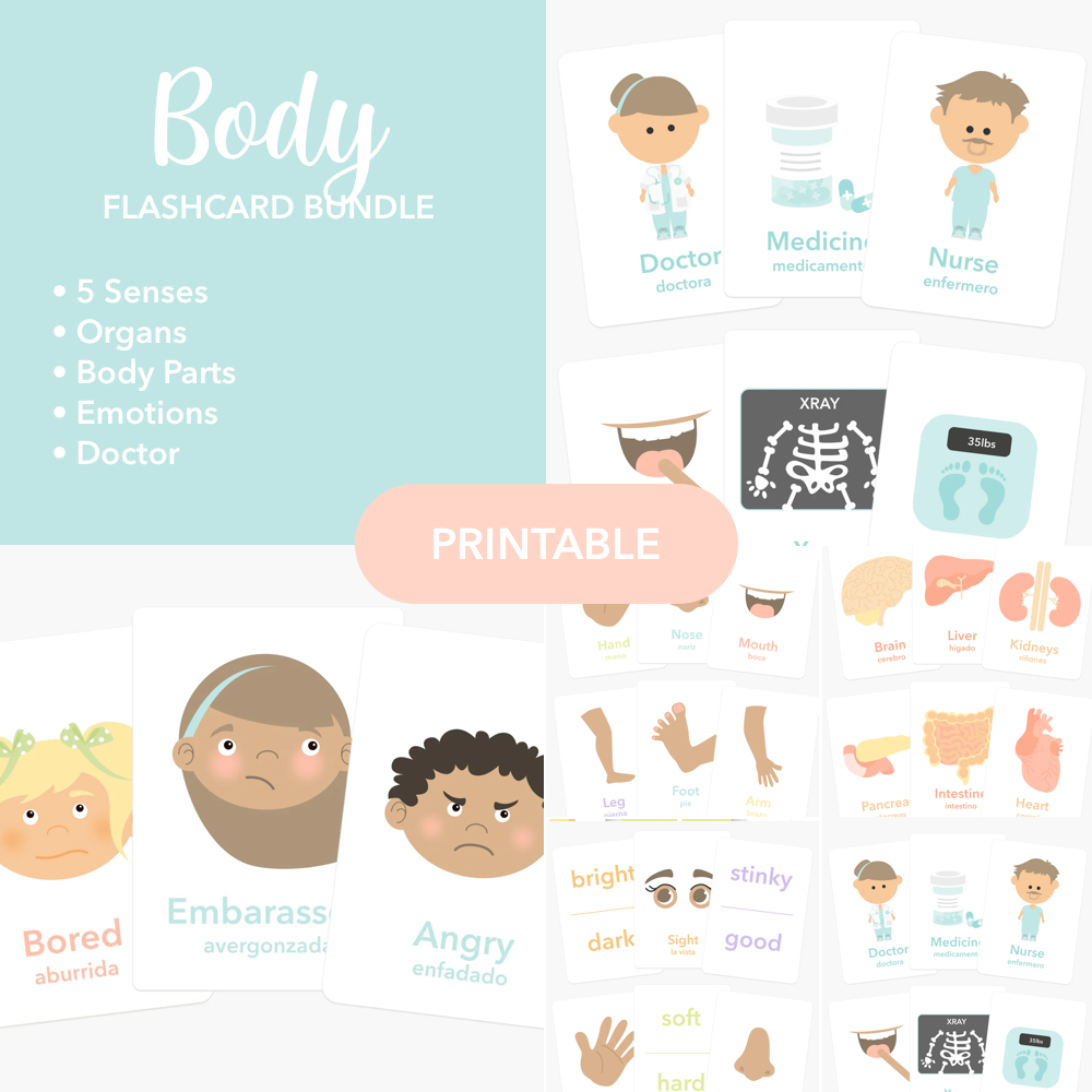 Body Flashcards Printable