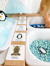 Load image into Gallery viewer, Arctic Polar Animals Printable Dramatic Play