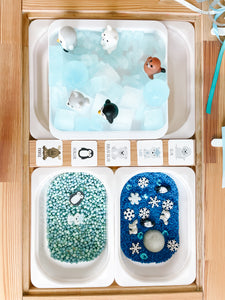 Arctic Polar Animals Printable Dramatic Play