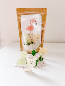 Desert Sensory Kit