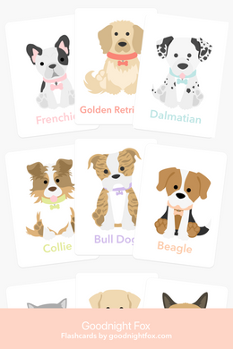 Dog Breed Flash Cards