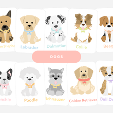 Load image into Gallery viewer, Dog Breed Flash Cards