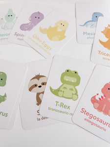 Dinosaur Flashcards