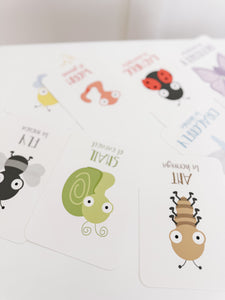 Bugs Flashcards