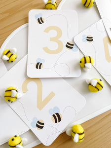 Bee Counting Sensory Kit