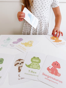 Dinosaur Flashcards