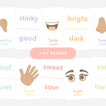 Load image into Gallery viewer, 5 Senses Flashcards