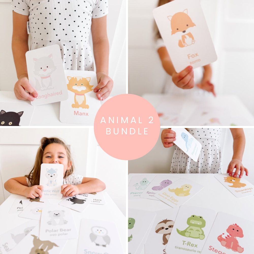 Animal 2 Flashcards Bundle