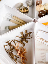 Load image into Gallery viewer, Dinosaur Dig Paleontologist Printable Dramatic Play Kit