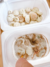 Load image into Gallery viewer, Dinosaur Dig Paleontologist Printable Dramatic Play Kit
