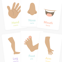 Load image into Gallery viewer, Body Parts Flashcards