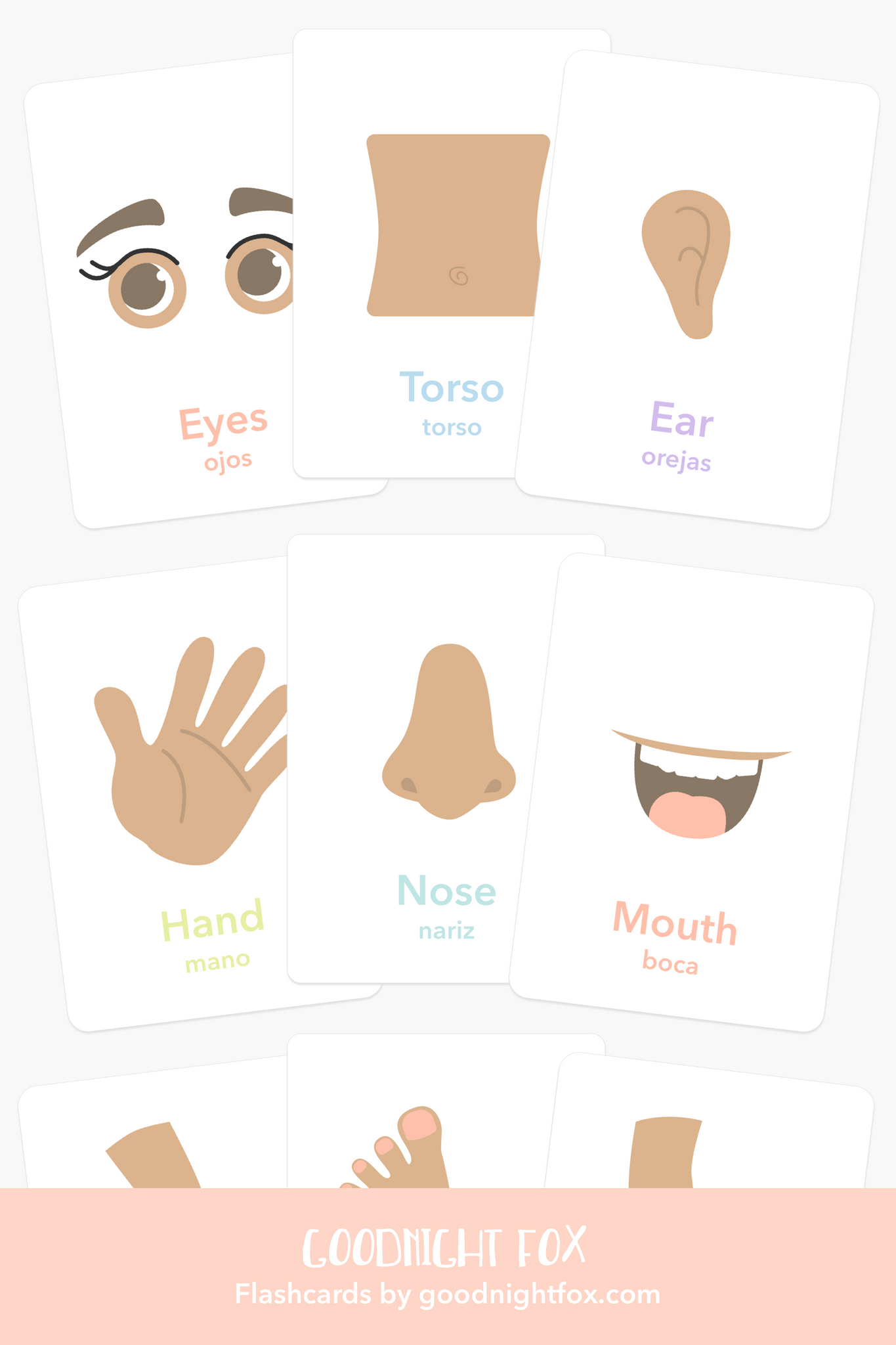 body parts flashcards for kids